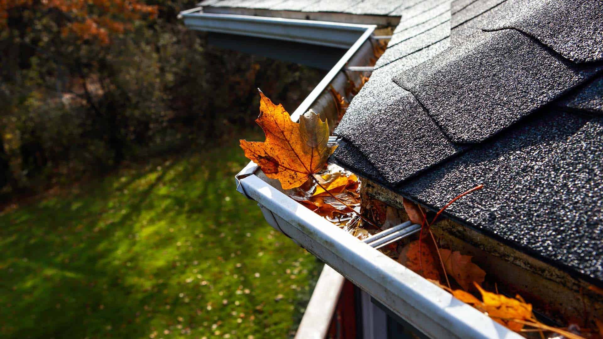 Close up image of gutter filled with fall leaves in Lake Elmo, MN