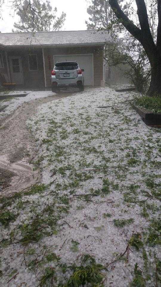 Front Lawn covered in Hail stones from St. Paul, Minnesota Hail storm that caused a lot of roof damage